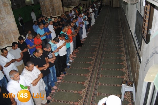 tarawe7 ramlasjju (30).JPG